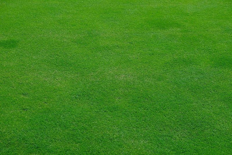 GreenPro Thrive Landscaping